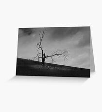 Sentinel Greeting Card