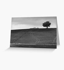 Lines in Ash Greeting Card
