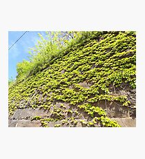 Sixth Street Embankment, Abandoned Pennsylvania Railroad Embankment, Jersey City, New Jersey Photographic Print