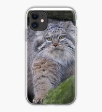 Time for a walk.... iPhone Case