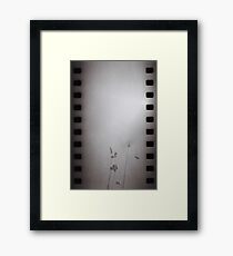 On My Way To Mt. Misery II - Lincoln, MA Framed Print