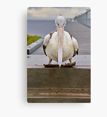 "Contemplation" Canvas Print