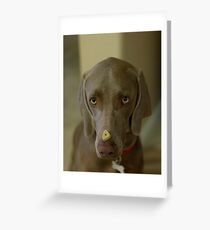Obedience Greeting Card