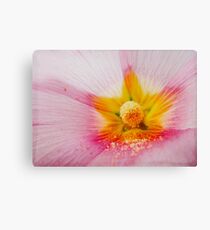 Flower inside- flor con polen Canvas Print