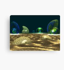 Lifecycle Canvas Print