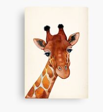 Giraffe Watercolor Canvas Print