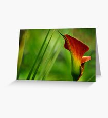 Fountain Of Colors. Greeting Card