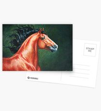 Blood Bay Lusitano Stallion Postcards