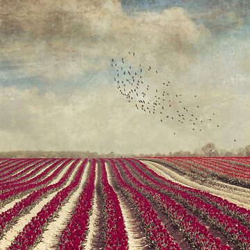 Artwork thumbnail, blooming - field of red tulips by DyrkWyst
