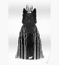 The Wolf King Poster