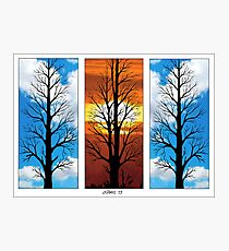 THREE TREES IN A ROW Photographic Print