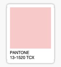 Pantone - Rose Quartz Sticker