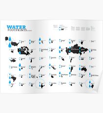 Virtual Water Footprint of Nations Poster