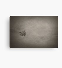desolate Canvas Print