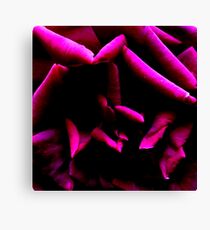 Color Abstract Rose Canvas Print