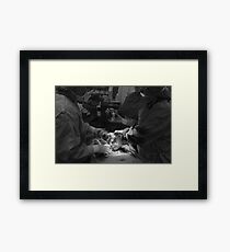 Live Birth Framed Print