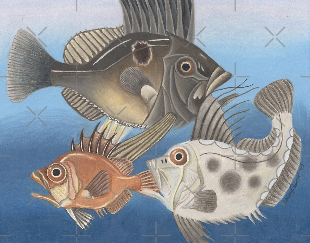 Food Chain Fish Sea Creatures by Platinumfrog Biology Diagrams