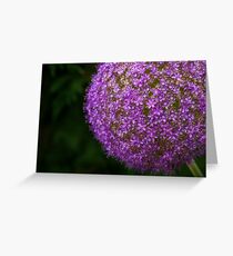 allium flower Greeting Card