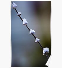 Snow Caps Poster