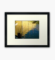 wetlands Framed Print