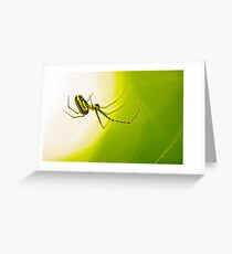 Just Hanging Around Greeting Card