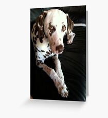expectant Greeting Card