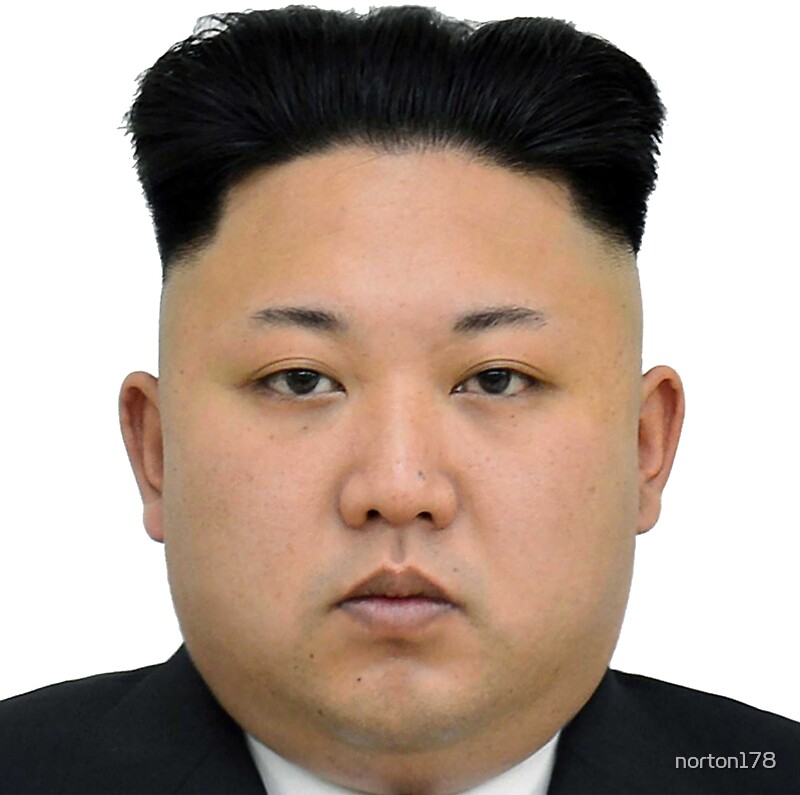  Kim Jong un Face  on something D Stickers by 