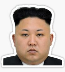 Kim Jong-un Face on something... :D Sticker