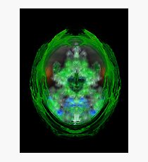 ©NS Mr. Green Portrait Paintography Photographic Print