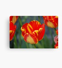 Yellow/Red Sunshine Canvas Print