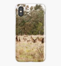 Troop of Kangaroos iPhone Case