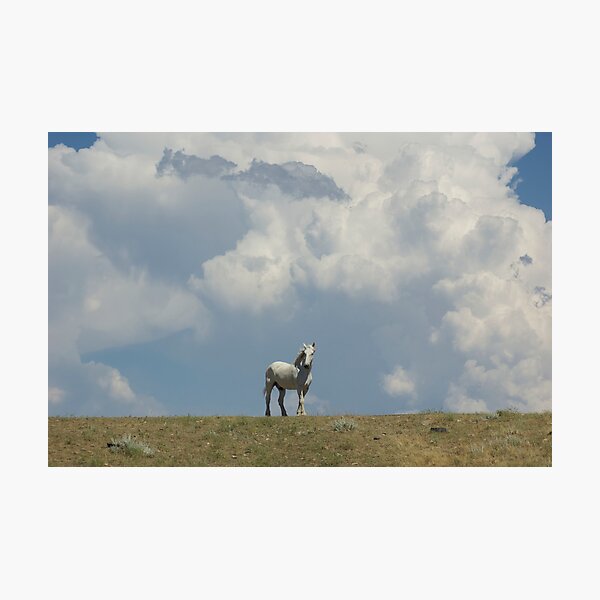 "Commanding The Clouds" Photographic Print