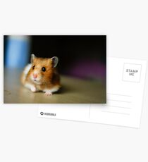 Prowl Postcards