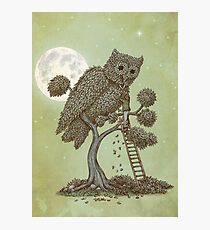 The Night Gardener Photographic Print