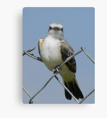 I Disapprove! Canvas Print
