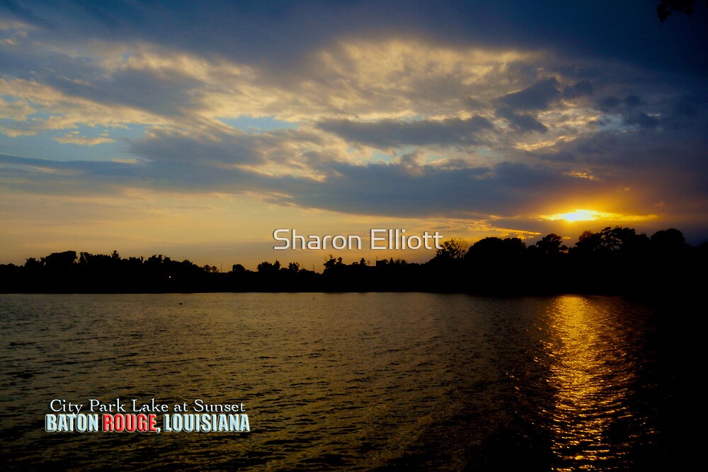 "City Park Lake, Baton Rouge" by Sharon Elliott Redbubble