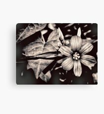 heirloom Canvas Print