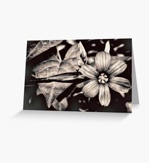 heirloom Greeting Card