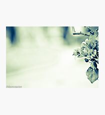 My heart is empty; clean and clear...Got Featured Work:) Photographic Print