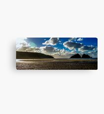Lonely Beach Canvas Print