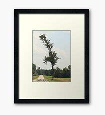 Indubitably Framed Print