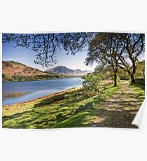 Loweswater Spring Poster