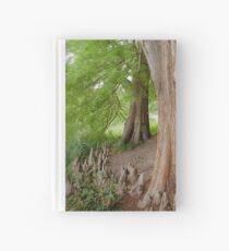 Under the swamp cypresses Hardcover Journal