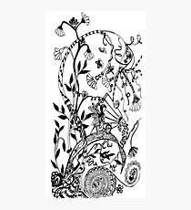 Fairyland Photographic Print