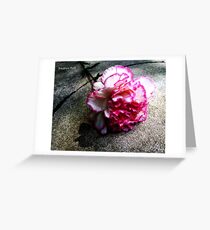 Pink Carnation No. 1# Greeting Card