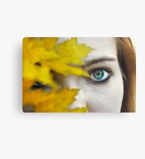 Pierce Metal Print