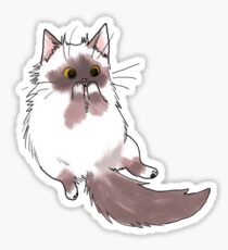 Cute cat Sticker