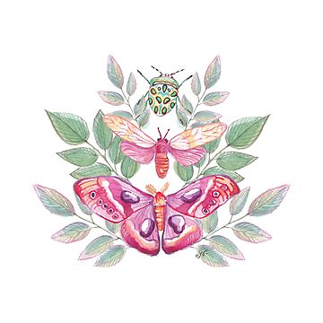 Artwork thumbnail, Butterflies and Beetle Magical trio pink & turquoise_watercolour by ebozzastudio
