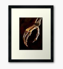 The Lovely Bones Framed Print