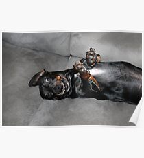 Goofy Doxie Poster